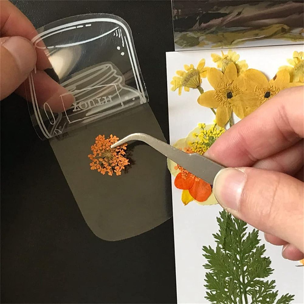 30Pcs Handmade DIY Transparent - Dried Flower Bookmark 리뷰 및 가격