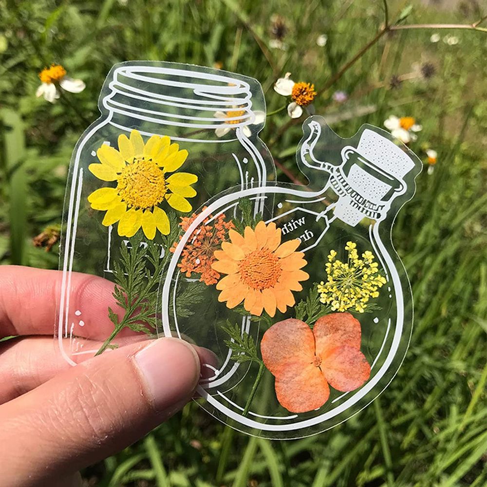 30Pcs Handmade DIY Transparent - Dried Flower Bookmark 리뷰 및 가격