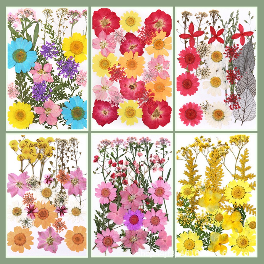 Un-dyed Natural Pressed Dried  - Dried Flower Bookmark 리뷰 및 가격