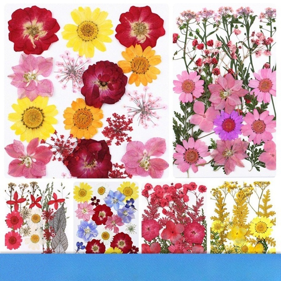 Un-dyed Natural Pressed Dried  - Dried Flower Bookmark 리뷰 및 가격