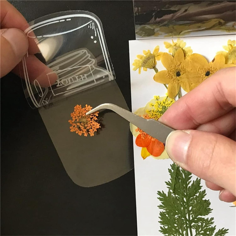 120Pcs Transparent Dried Flowe - Dried Flower Bookmark 리뷰 및 가격