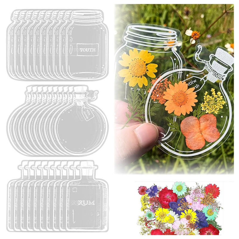 120Pcs Transparent Dried Flowe - Dried Flower Bookmark 리뷰 및 가격