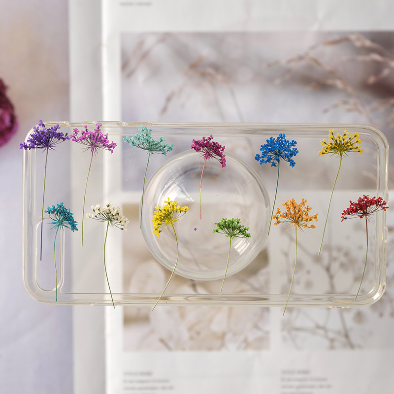 48Pcs Vibrant Colored Small Sn - Dried Flower Bookmark 리뷰 및 가격