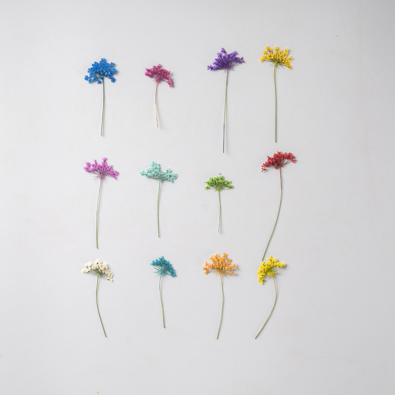 48Pcs Vibrant Colored Small Sn - Dried Flower Bookmark 리뷰 및 가격