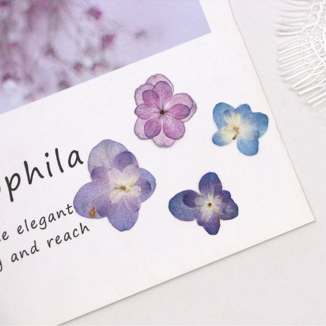 60Pcs Mini Double-Flowered Hyd - Dried Flower Bookmark 리뷰 및 가격