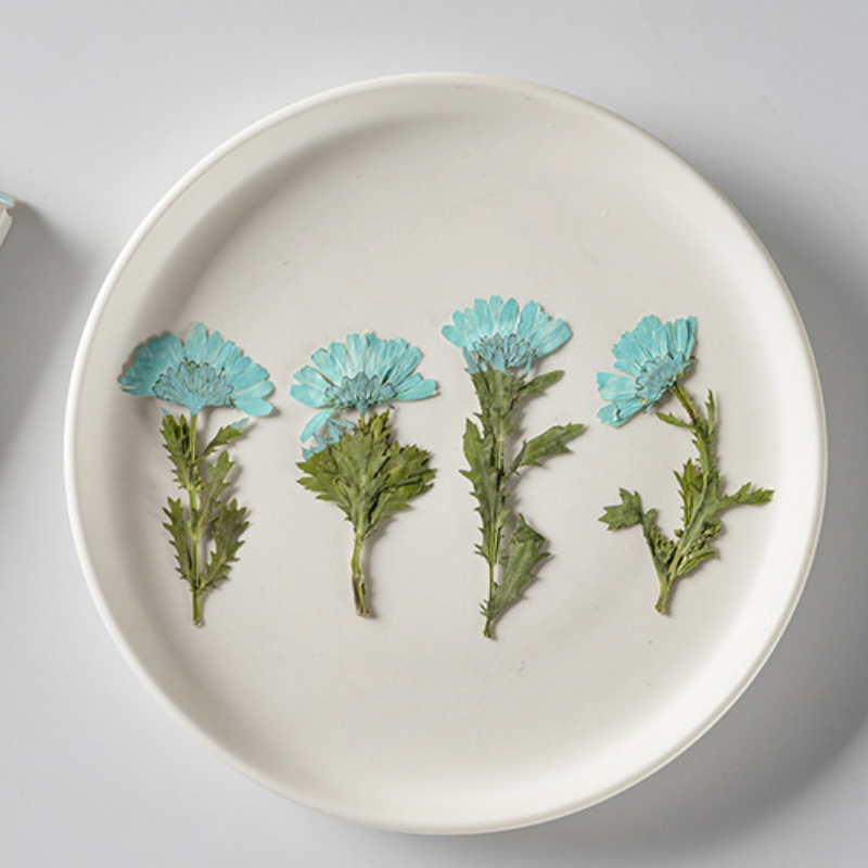 5-8cm/24pcs,Side pressed cryst - Dried Flower Bookmark 리뷰 및 가격